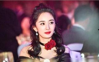 娱乐圈频繁爆料的明星是谁,揭秘频繁曝光的明星之谜  第2张